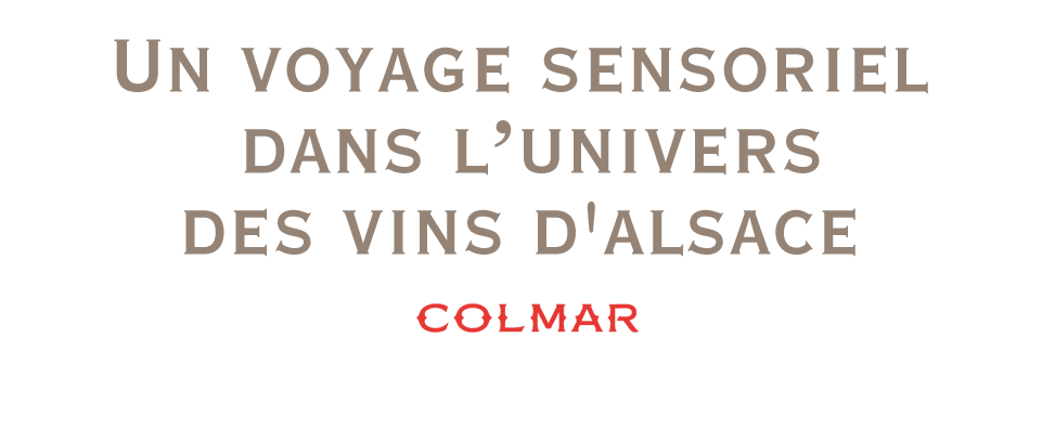 Partez à la découverte des plus grands vins d'Alsace sous forme de parcours dégustation (Winetasting) ludiques et personnalisés, à Colmar !